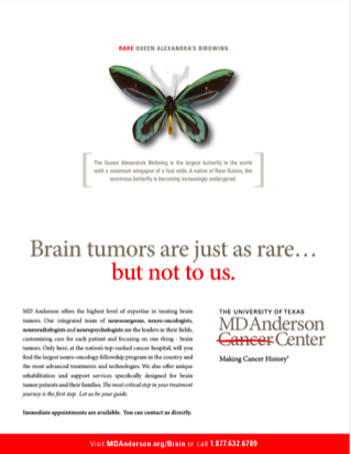 MD Anderson print ad — 'Brain tumors are just as rare... but not to us,' featuring a rare butterfly
